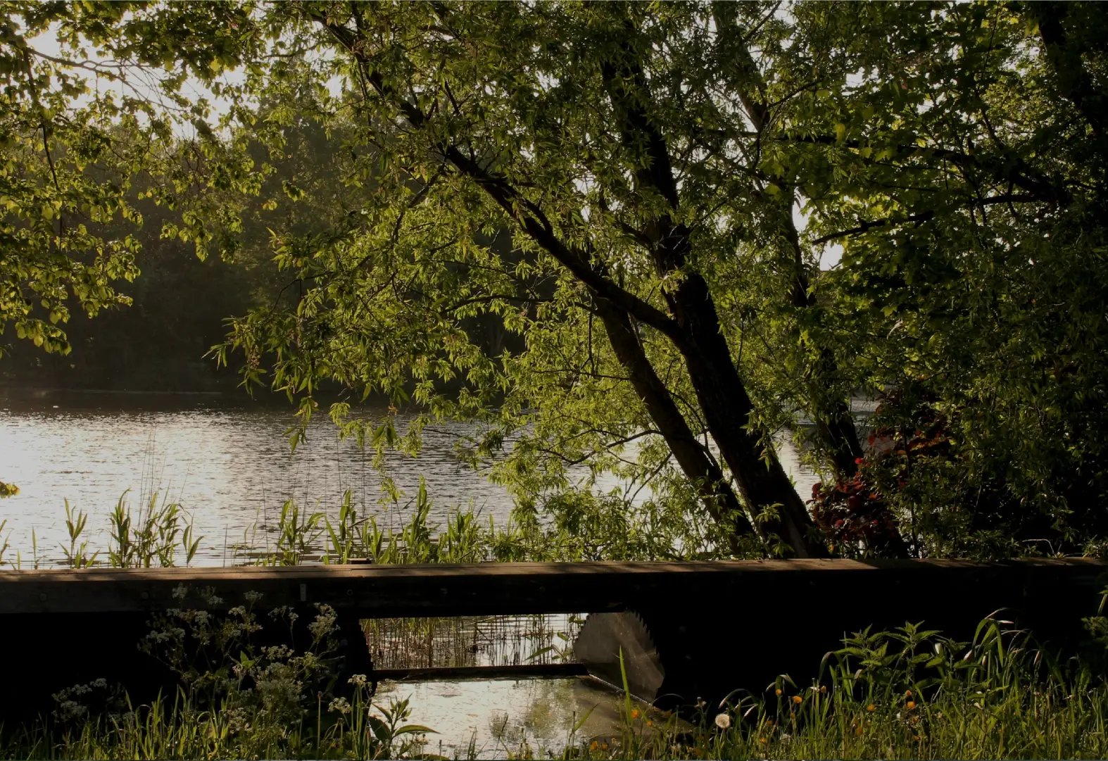 Verhuisbedrijf Capelle aan den IJssel