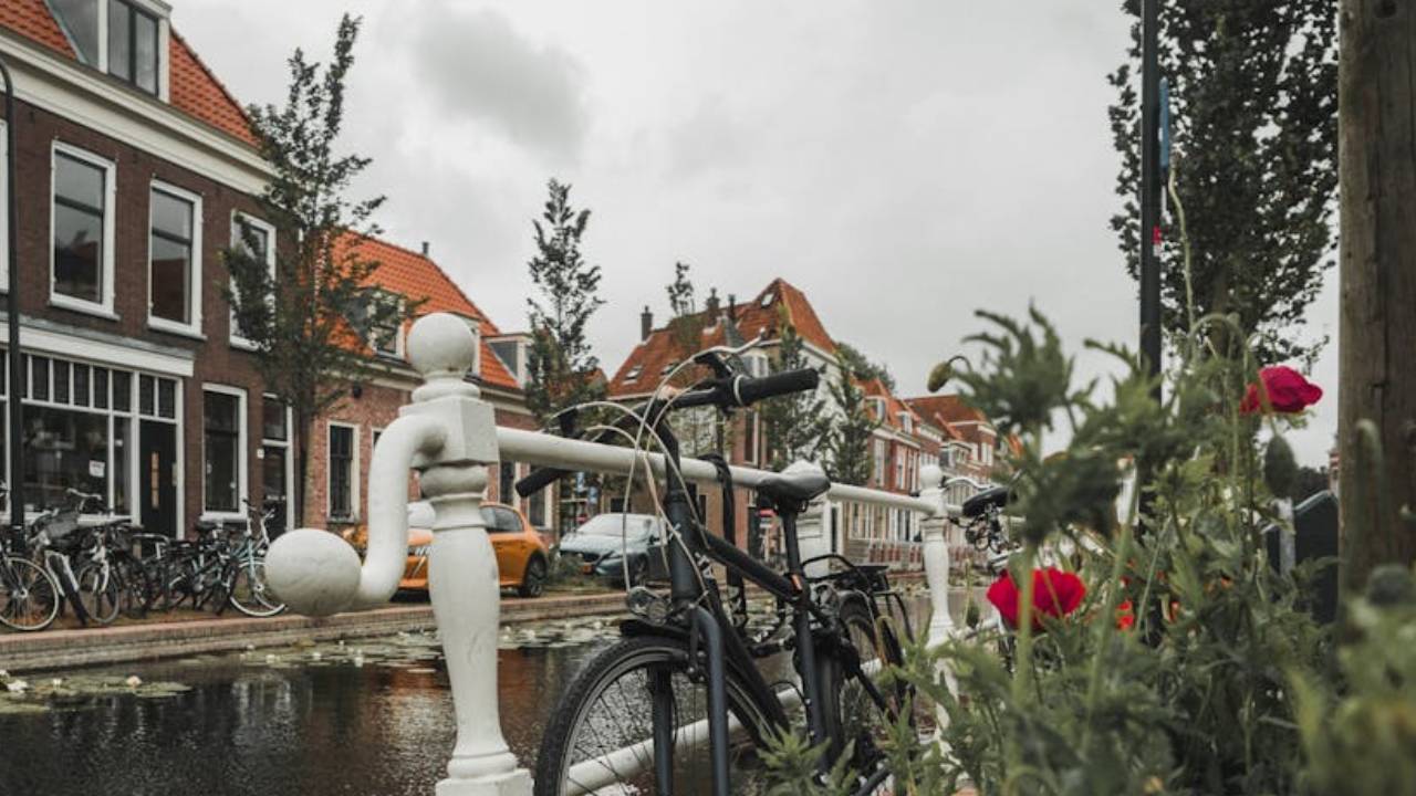 Verhuisbedrijf Delft Budget