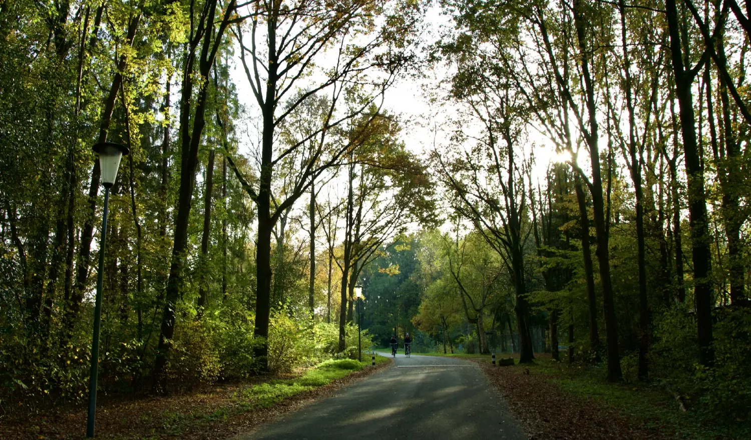 Verhuisbedrijf Veendam