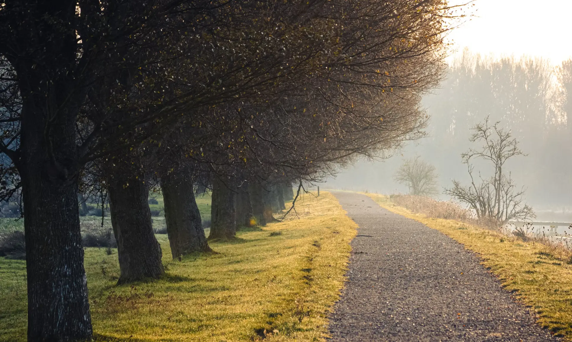 Verhuisbedrijf Vlaardingen