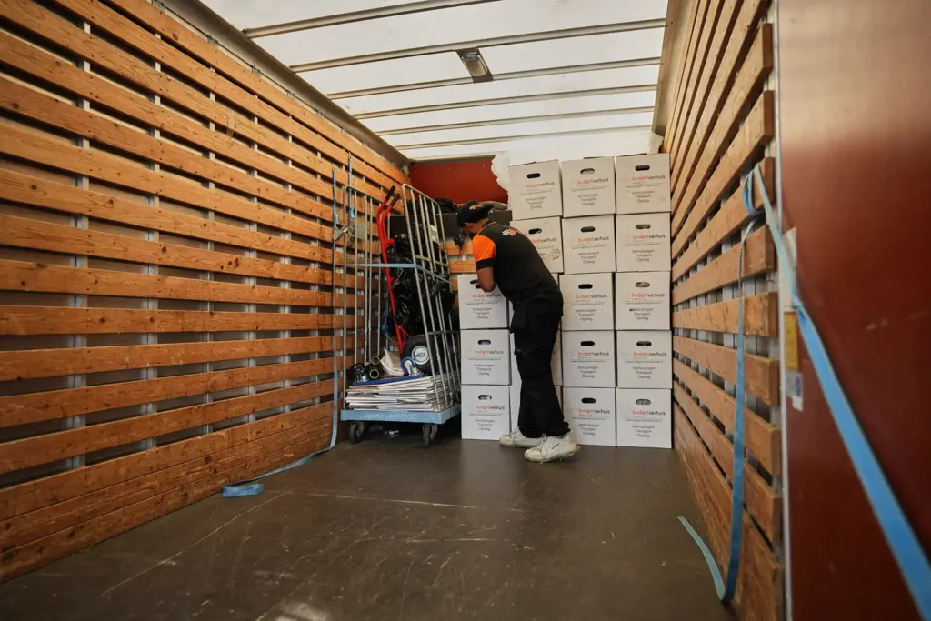 hoe verhuist u de planten veilig